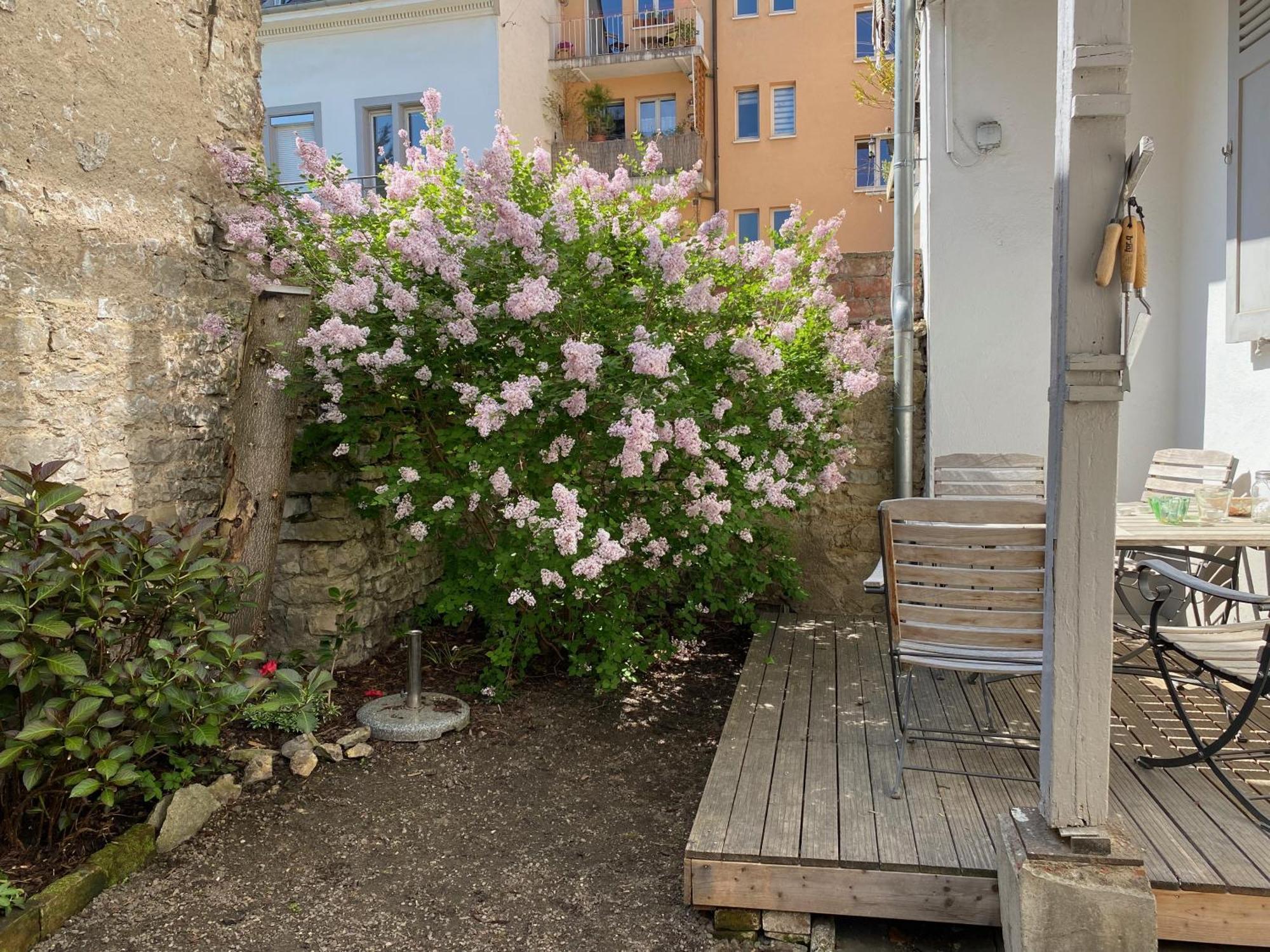 annadaly Stadtraumwohnung Lörrach Exterior foto